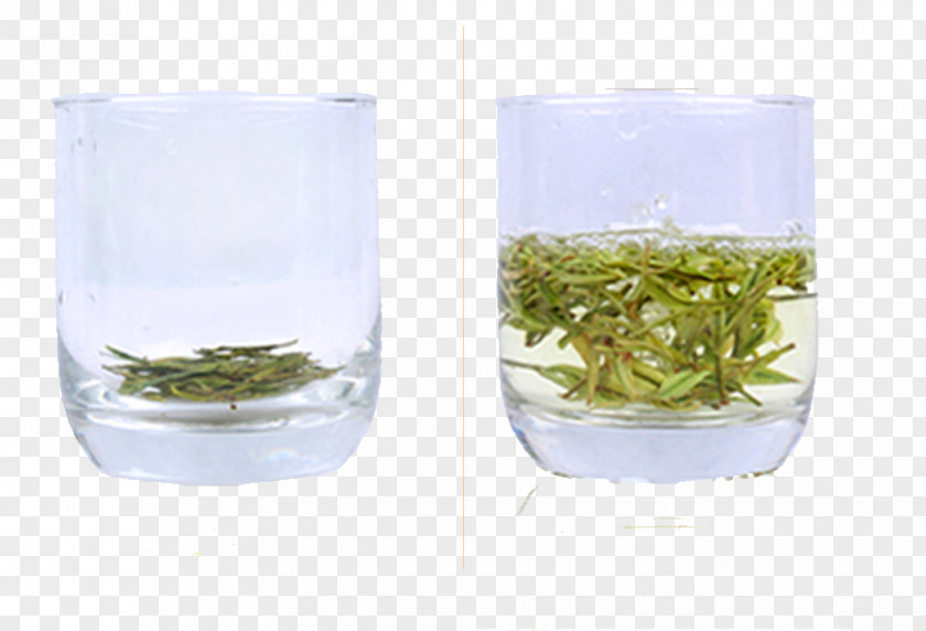 2 Cups Of Green Tea Longjing Cup PNG