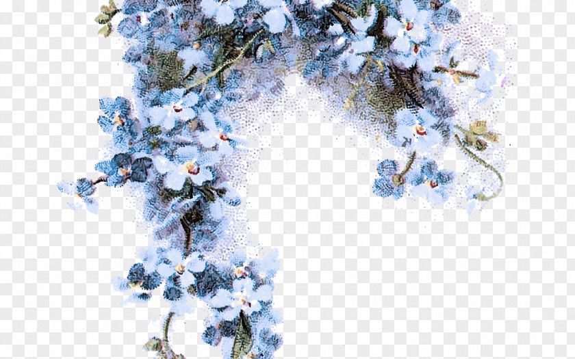 Branch Plant Blue Tree PNG