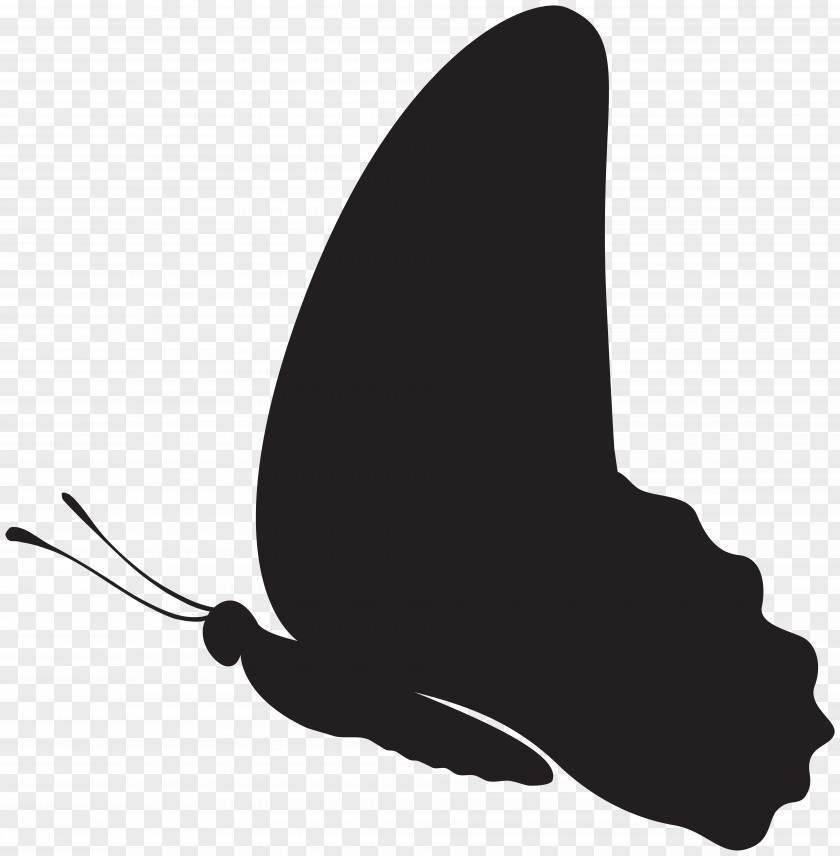 Butterfly Silhouette Clip Art Image Black And White Design Pattern PNG