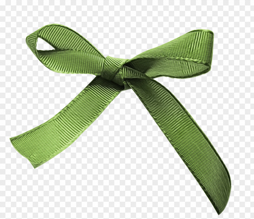 Fashion Accessory Ribbon Green PNG