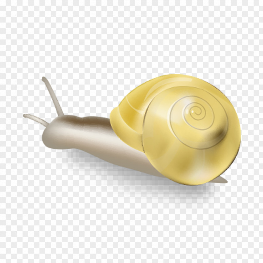 Hand-painted Cartoon Snail Orthogastropoda PNG