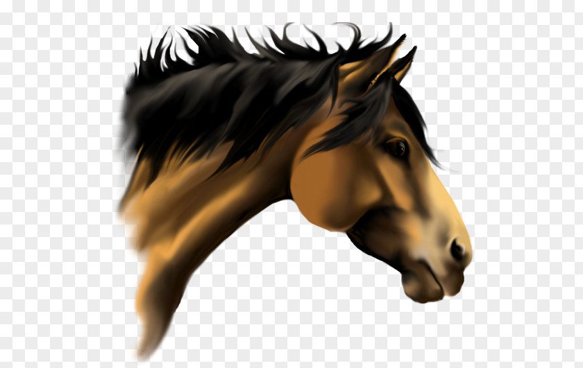 Horse Face Cliparts American Paint Quarter Stallion 3D Racing Mane PNG