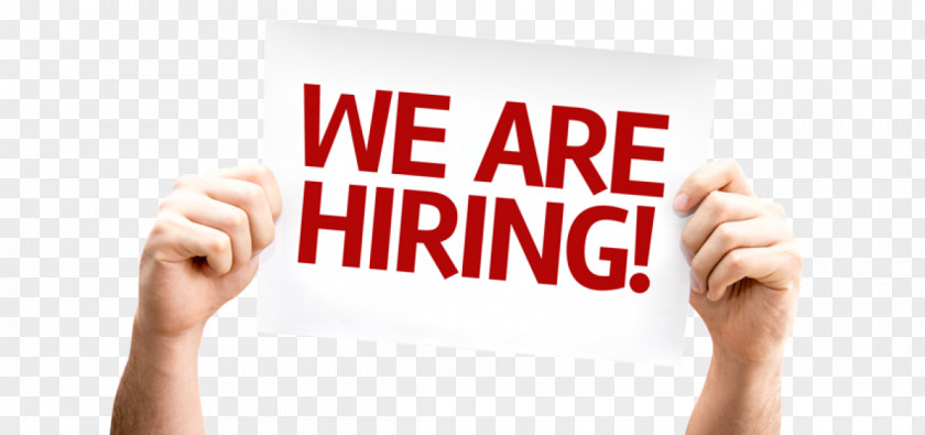 Job Hire Recruitment Digital Marketing Business Management PNG