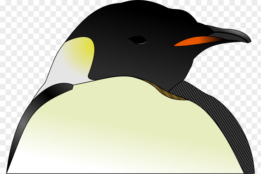 Penguin Emperor Bird Clip Art PNG