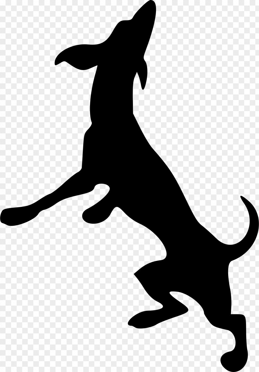 Playful Labrador Retriever Silhouette Cat Drawing PNG