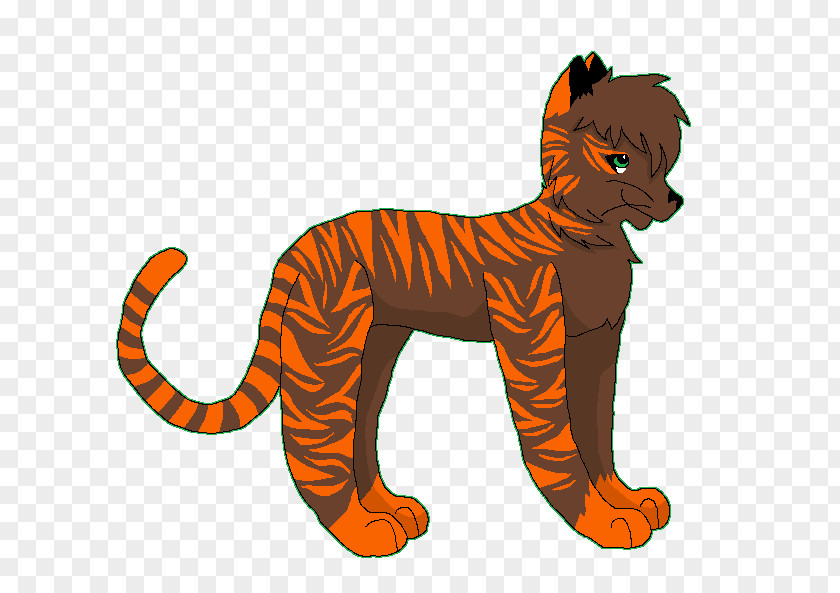 Tiger Lion Cat Wildlife Animal PNG