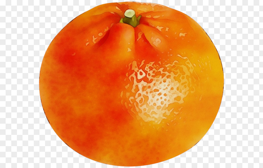 Tomato PNG