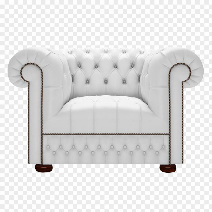 White Birch Loveseat Couch Chair PNG