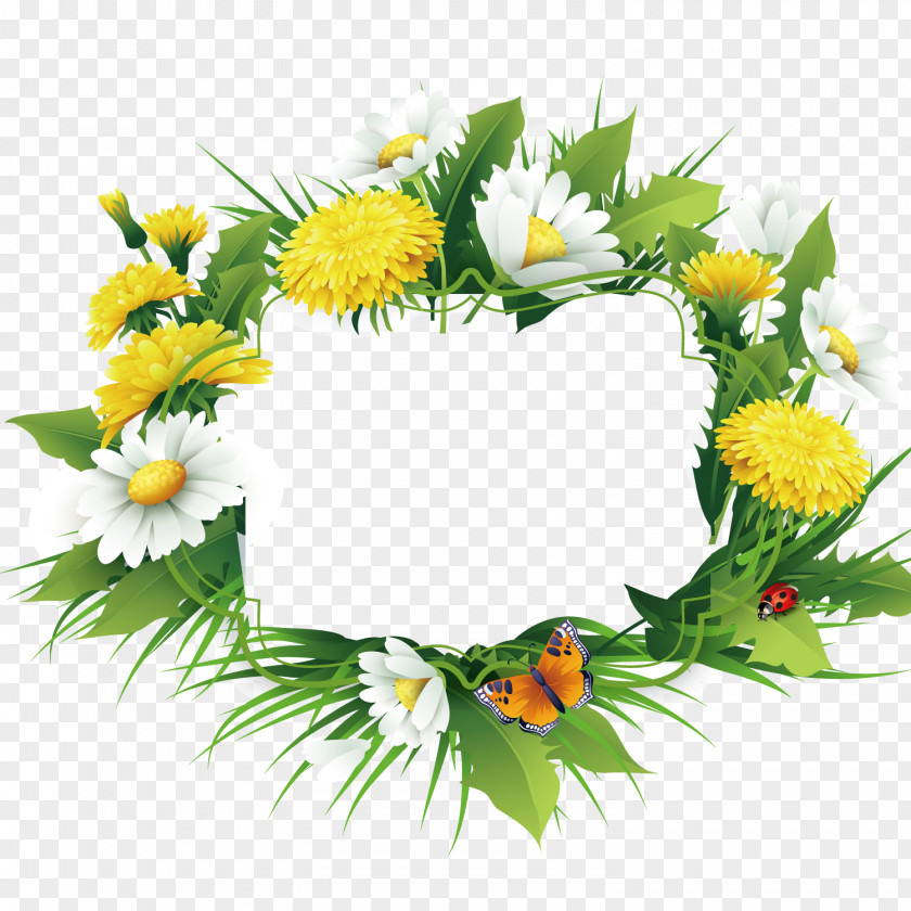 Chrysanthemum Video Borders Floral Design Clip Art PNG