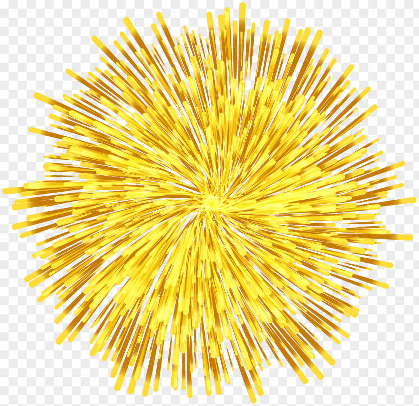 Fireworks Common Dandelion Flower Clip Art PNG