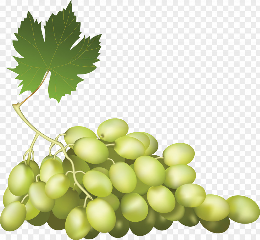 Grape PNG clipart PNG