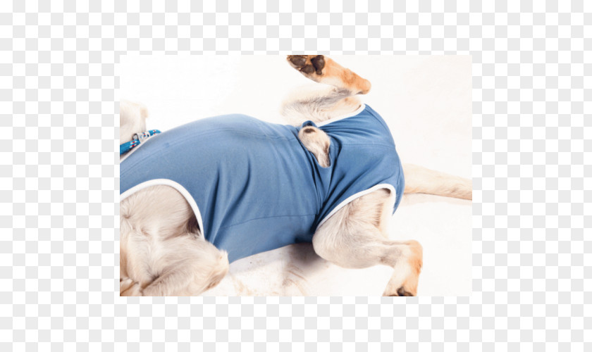 Puppy Dog Surgery Clothing Scrubs PNG