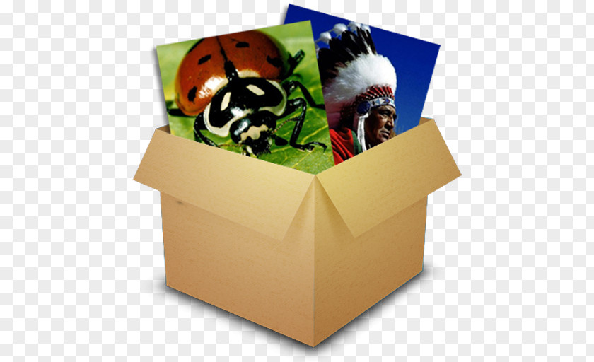 Puzzle Box Poster Carton PNG