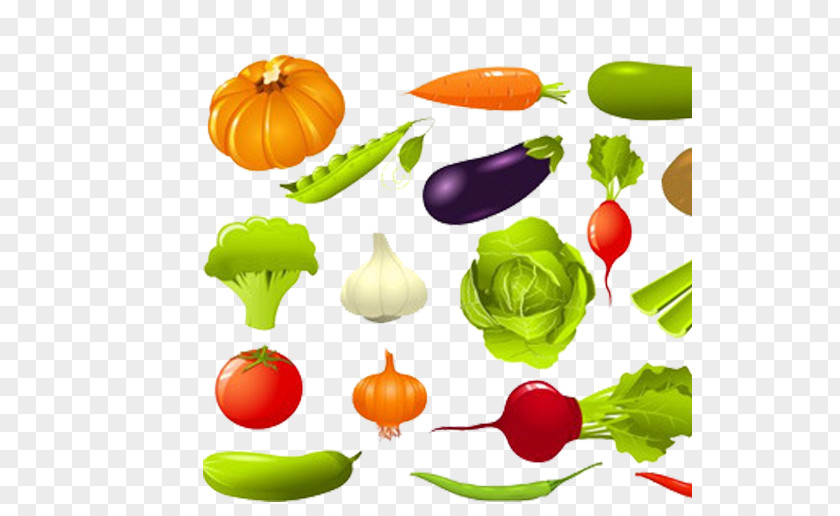 Cartoon Vegetables Leaf Vegetable Cucumber Clip Art PNG