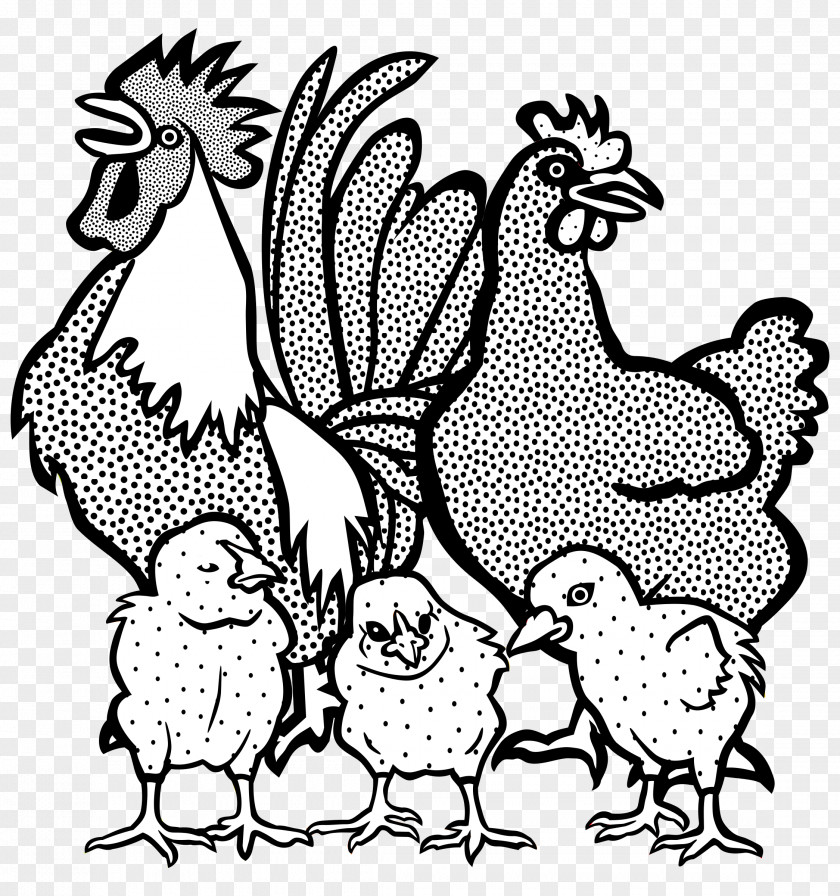 Chicken Drawing Line Art Clip Coloring Book PNG
