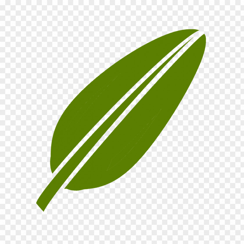 Flower Grass Leaf Green Logo Plant Line PNG