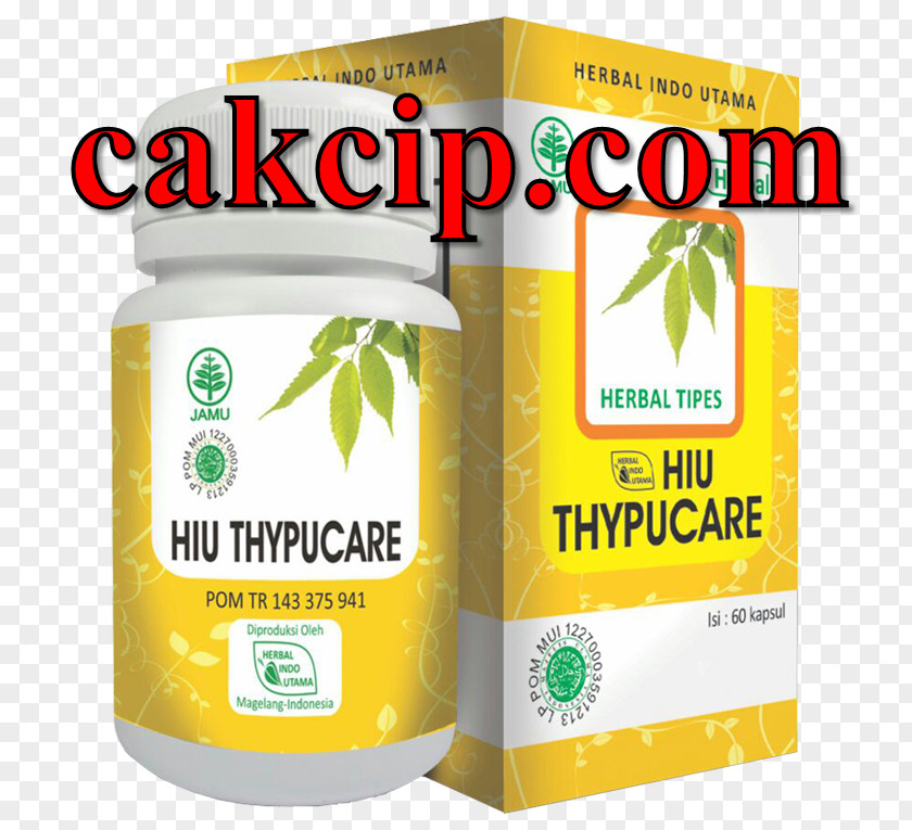 Health Typhoid Fever Herb Pharmacy Spirulina PNG