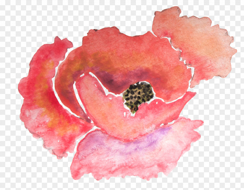 Watercolor Flower Paper Poppy Painting Zazzle PNG