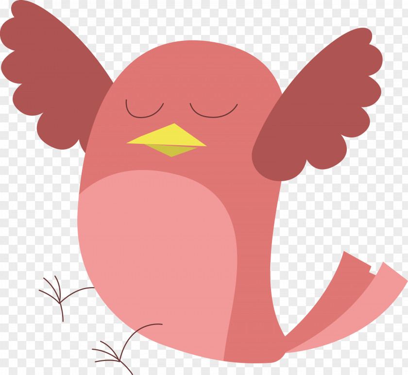 Chicken Beak Birds Water Bird Character PNG