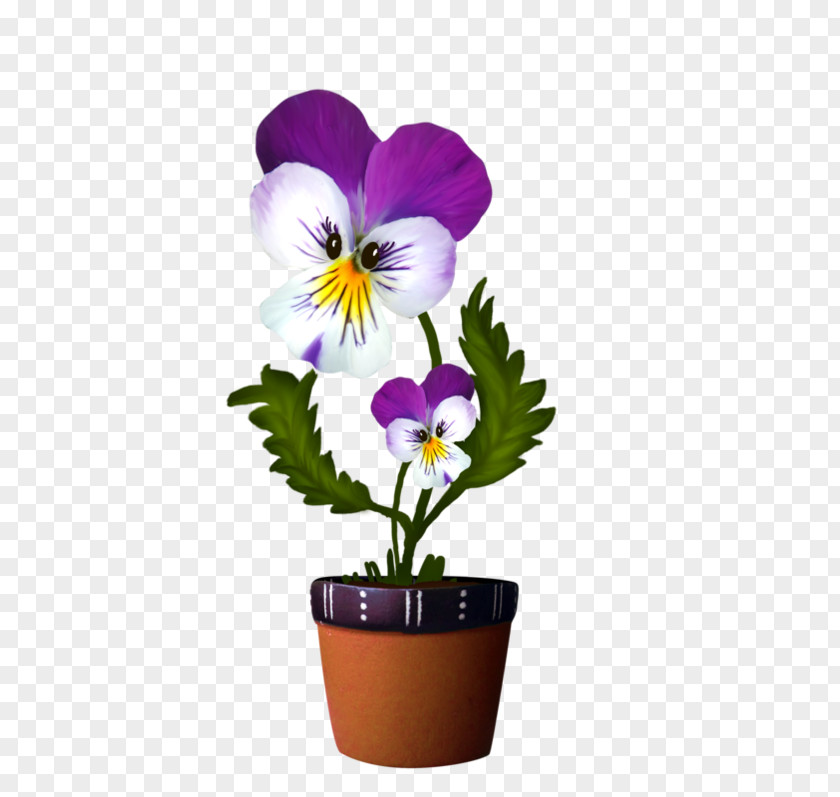 Flower Plant Wild Pansy Violet PNG