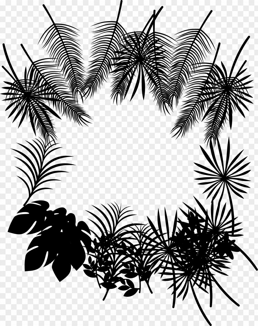 M Palm Trees Leaf Clip Art Black & White PNG