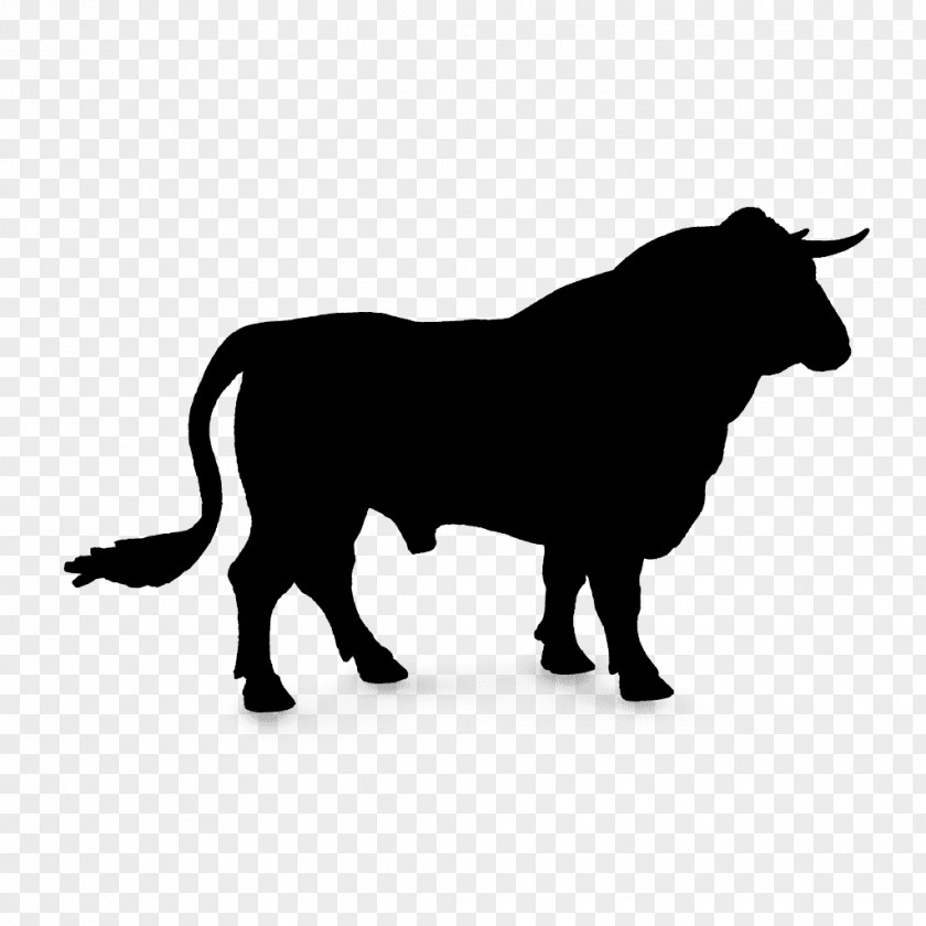 Spanish Fighting Bull Taurine Cattle Domestic Yak Horn PNG