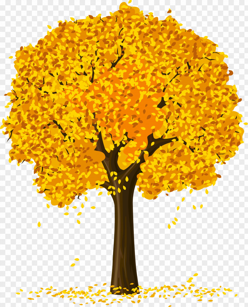 Spring Tree Clip Art PNG