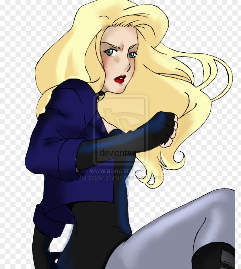 Batman Black Canary Young Justice Superboy Huntress PNG