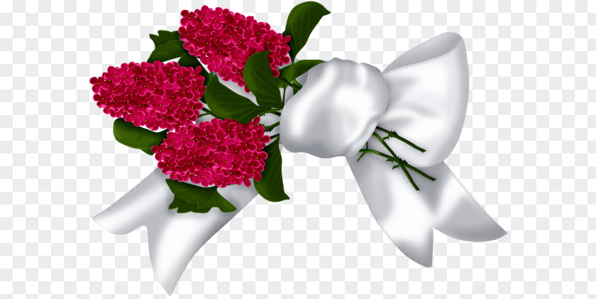 Flower Floral Design PNG