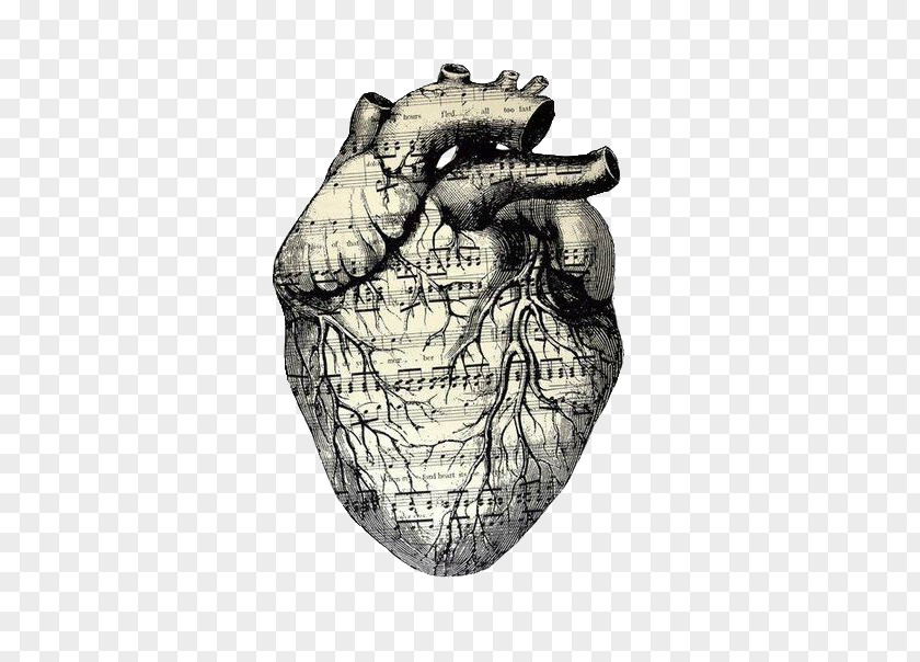 Heart Drawing Musical Theatre PNG