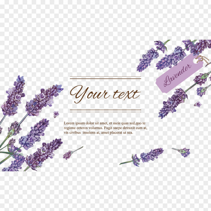 Lavender Border Vector Graphics Stock Photography Royalty-free Illustration PNG