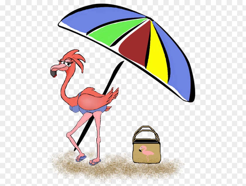 Pink Flamingos Florida Clip Art Beach Cartoon Image Illustration PNG
