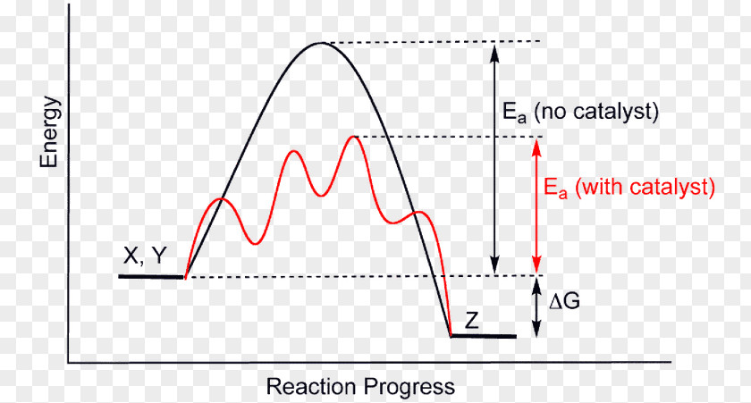 Work Permit Catalysis Chemical Reaction Chemistry Catalisador Activation Energy PNG