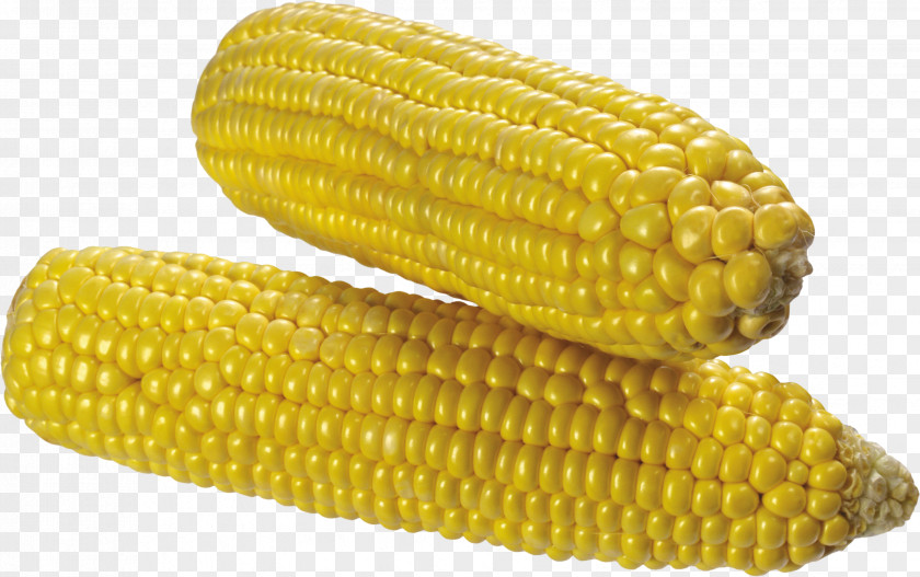 Corn Image On The Cob Kernel Sweet Maize Corncob PNG