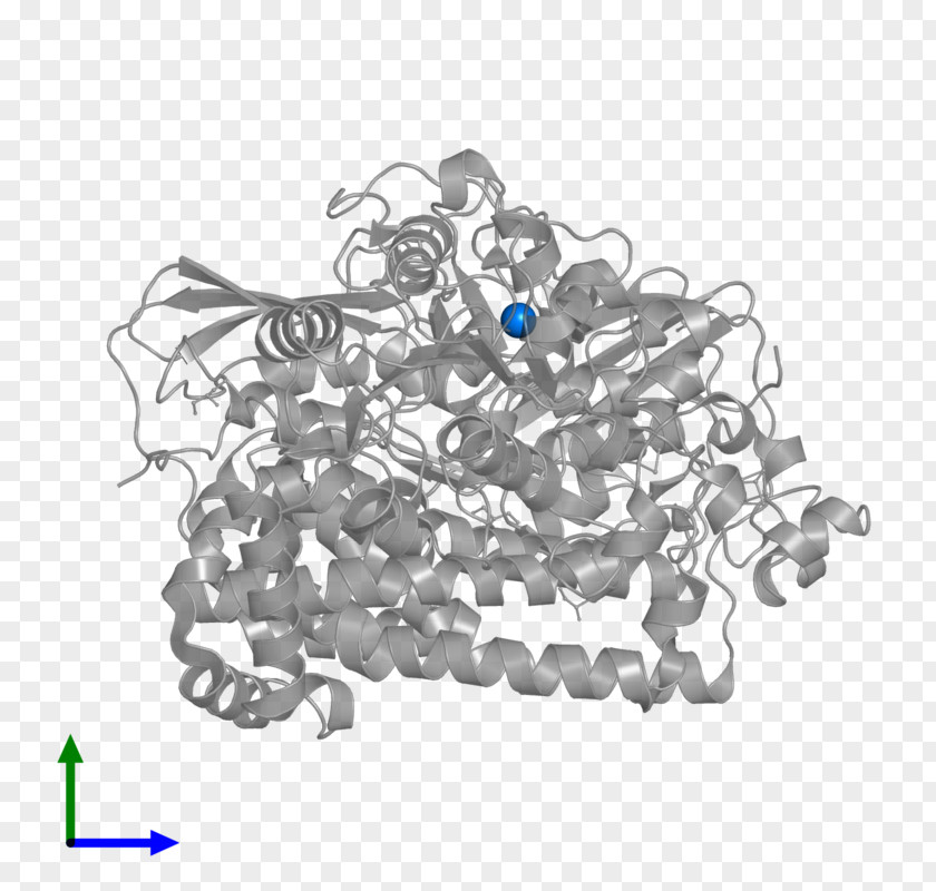 Leukocyte Map Illustration Drawing Visual Arts /m/02csf Product PNG