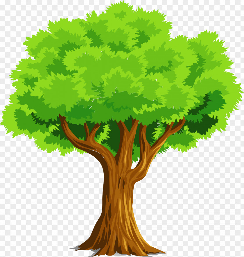 Natural Tree Download Clip Art PNG