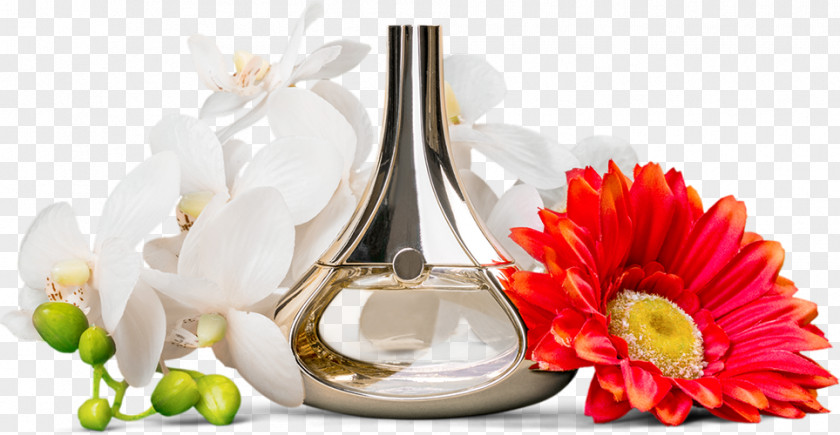 Perfume Glass Bottle Praxis Für Physiotherapie Martin Soltau Moislinger Allee PNG