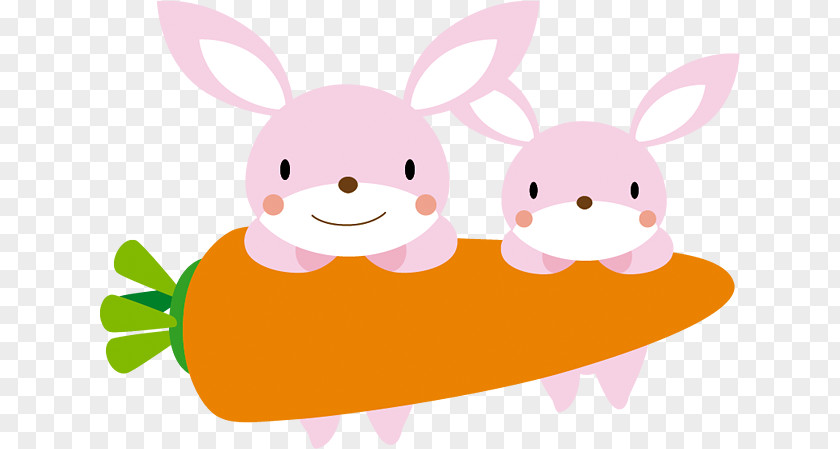 Rabbit Naver Blog Illustration PNG