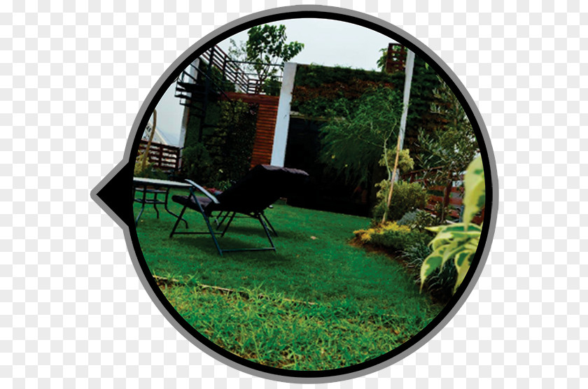 Tree Green Roof Garden Wall Ceiling PNG