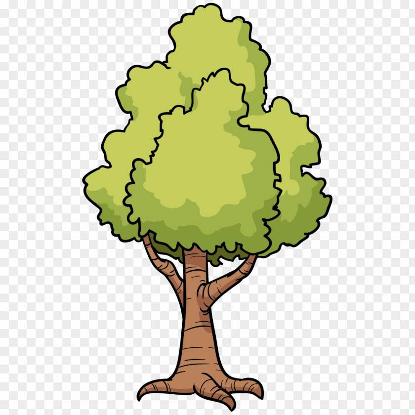 Tree,Trees Cartoon Tree Drawing Clip Art PNG