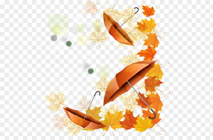 Beautiful Maple Leaf Umbrella Autumn Illustration PNG