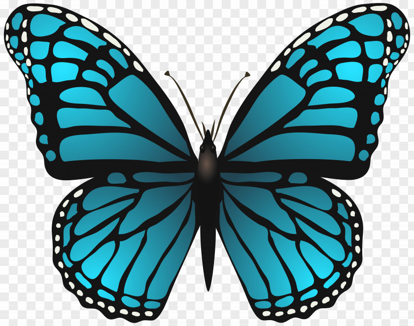 Butterfly Blue Stock Photography Clip Art PNG