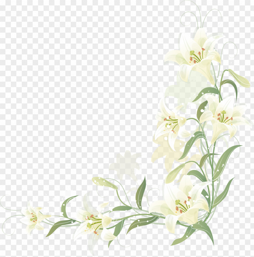 Hand-painted Lily Border PNG