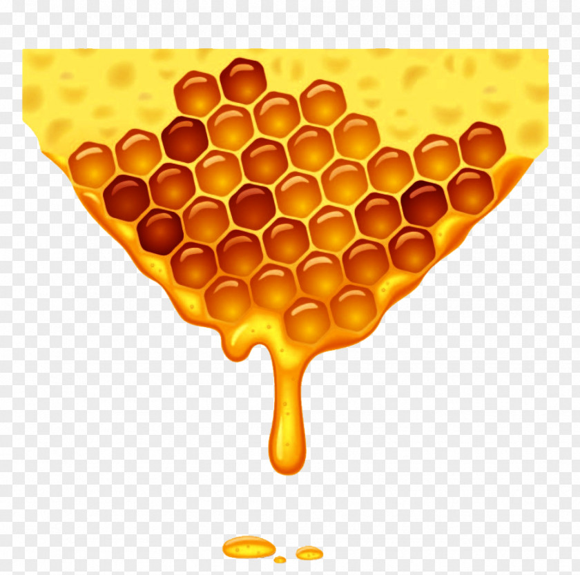 Honey Honeycomb Vector Bee PNG