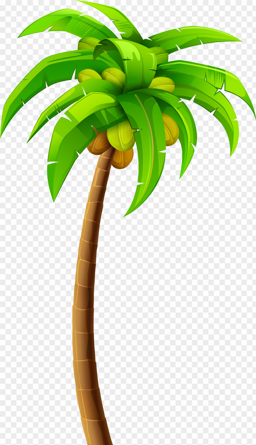 Houseplant Flowerpot Palm Tree Silhouette PNG