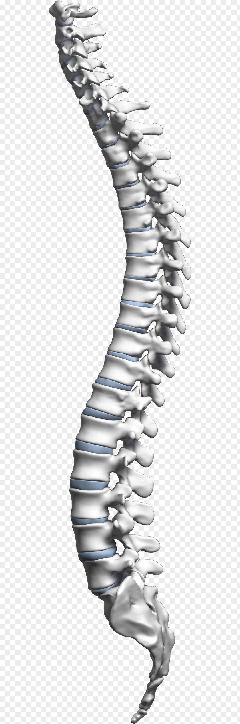 Nasolacrimal Duct Obstruction Living Well Spine Center Vertebral Column Spinal Cord Neck Cervical Vertebrae PNG