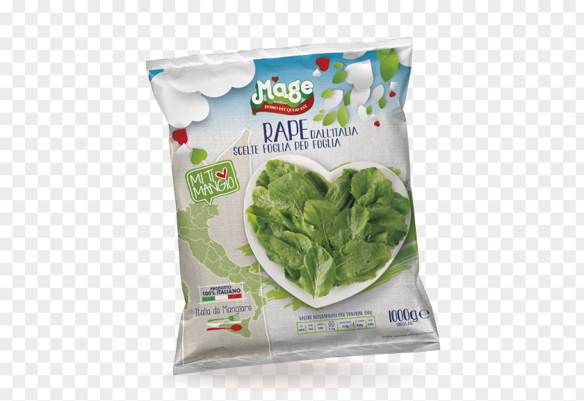 RapeSeed Romaine Lettuce Associazione Di Produttori Promarche Vegetable Business PNG