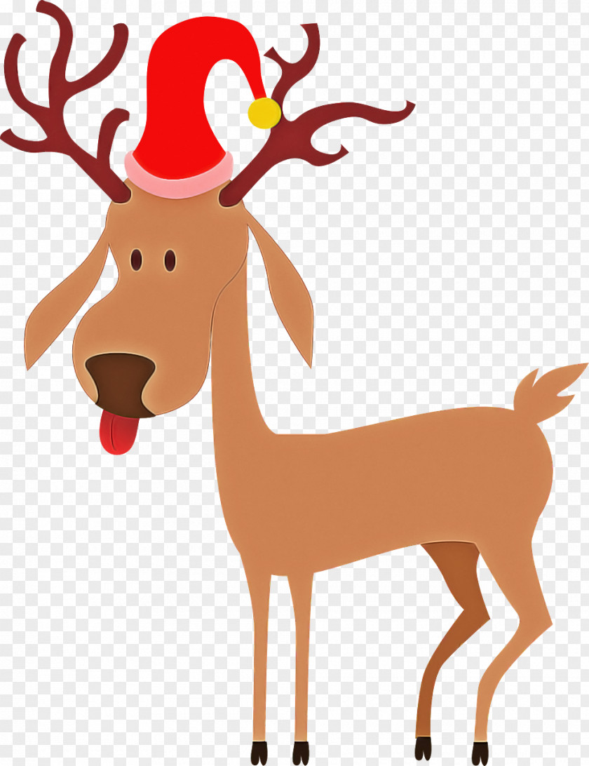 Roe Deer Wildlife Reindeer PNG