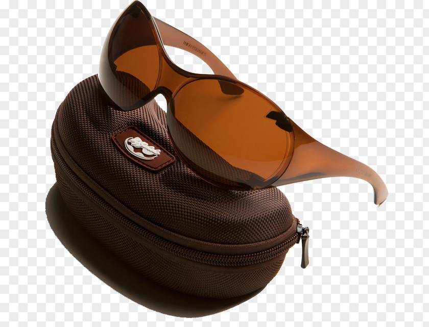 Sunglasses Goggles Fly Shades Portuguese PNG