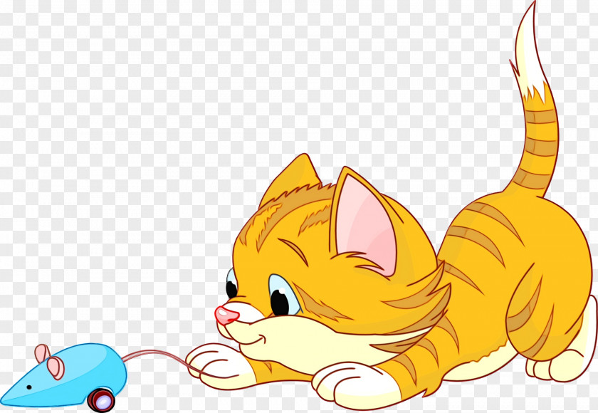 Whiskers Kitten Cat Dog Snout PNG